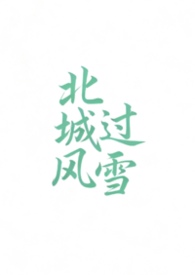 小说《北城有雪》